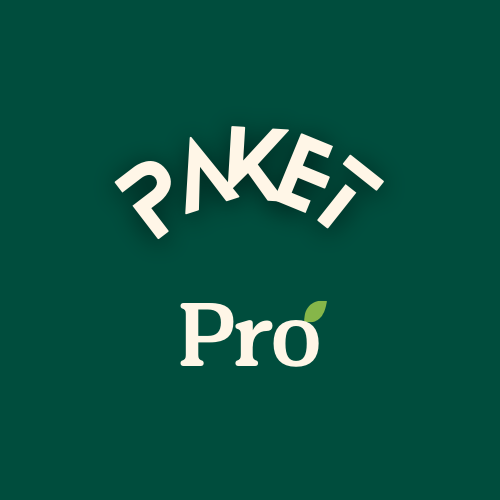 Paket Pro Optimasi Speed WordPress